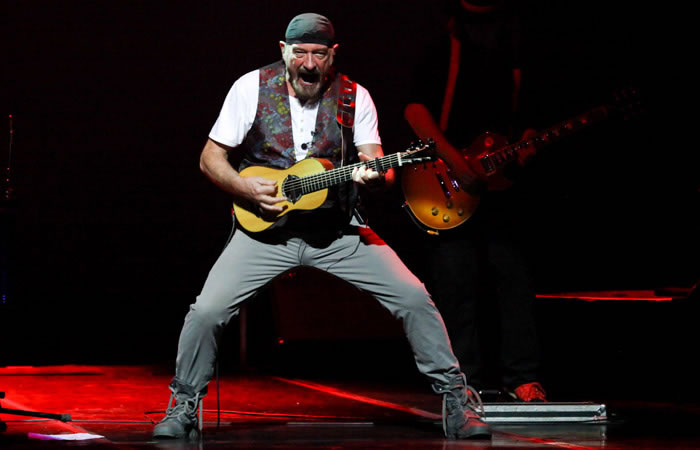 Ian cheap anderson guitars